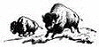 Big-Buffalo14